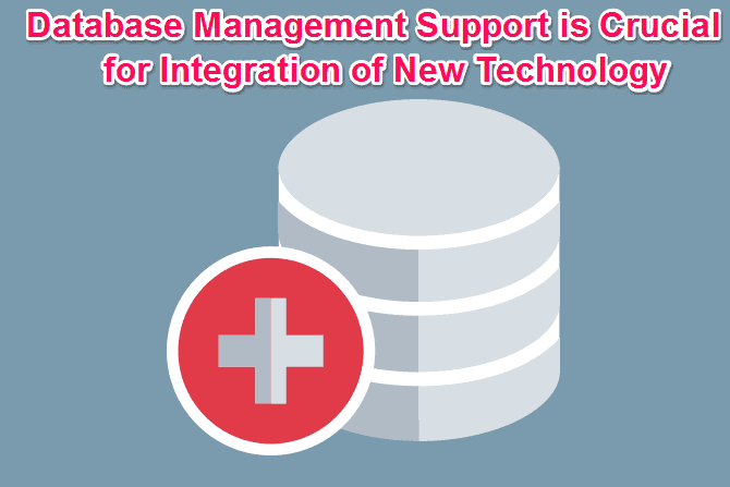 Database Management Support