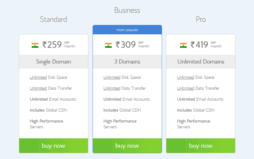 Bluehost Hosting Plan