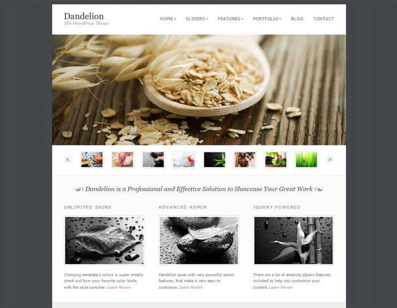 Dandelion WordPress Theme
