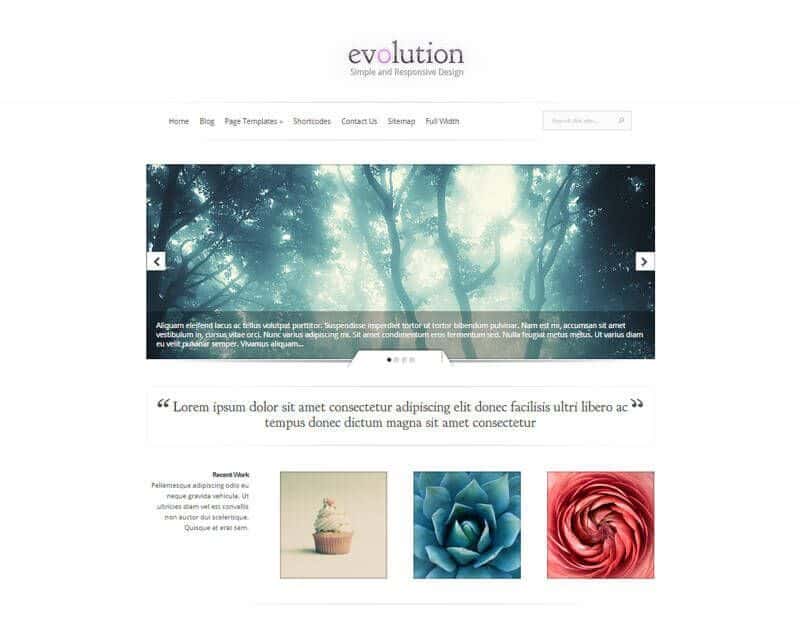 Evolution WordPress Theme By Elegant Themes