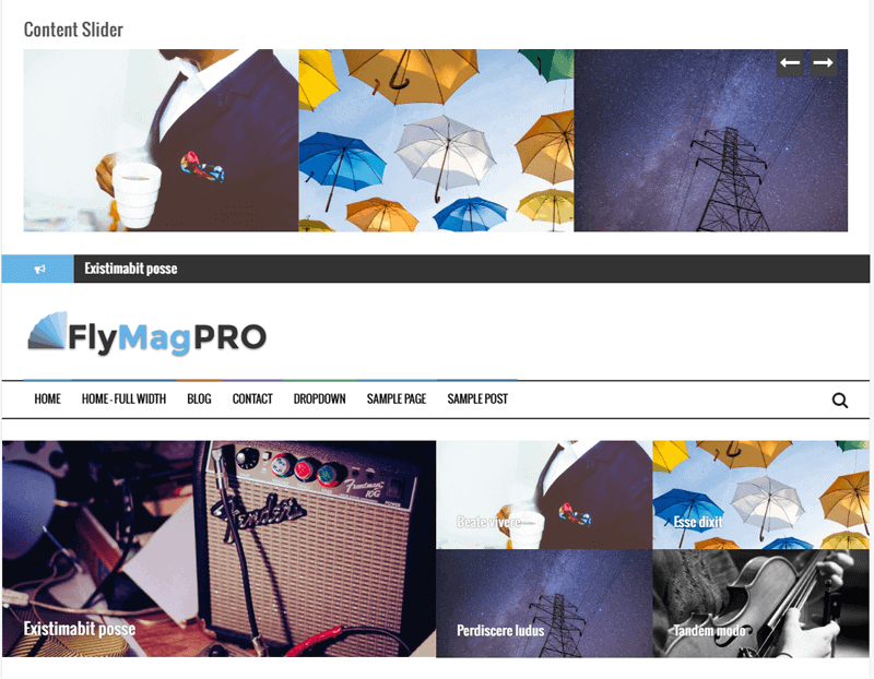 FlyMag Pro Theme