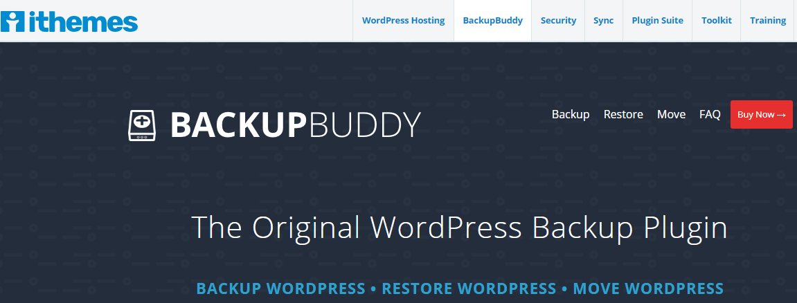 Install the BackupBuddy Plugin