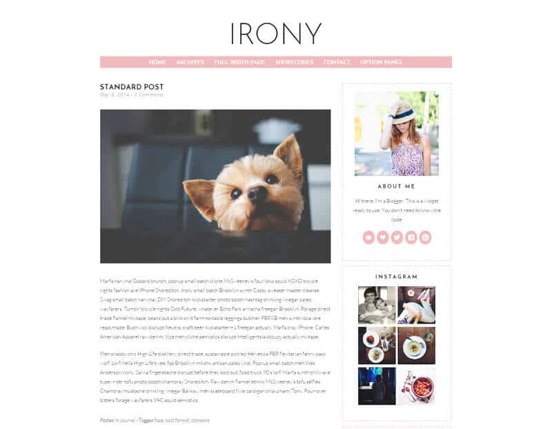 Irony WordPress Theme By Creative Market