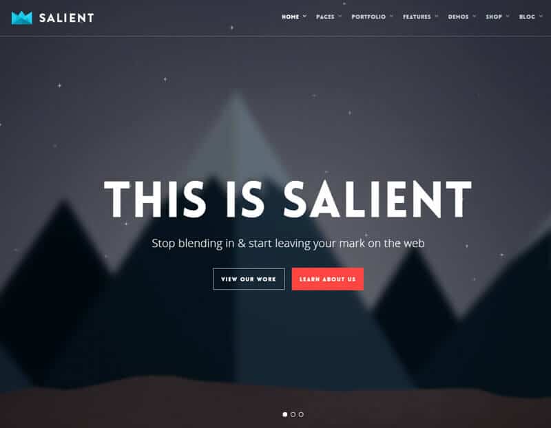 Salient WordPress Theme