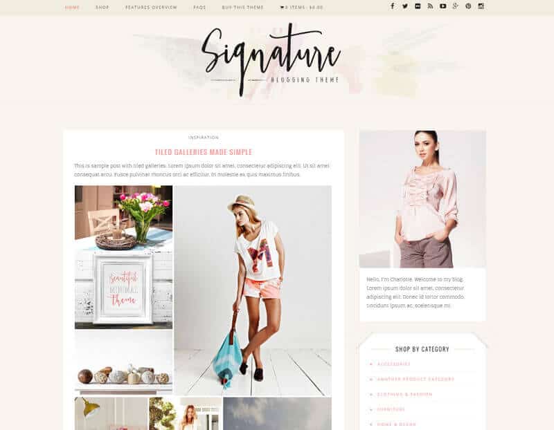 Signature WordPress Theme By Creative Market