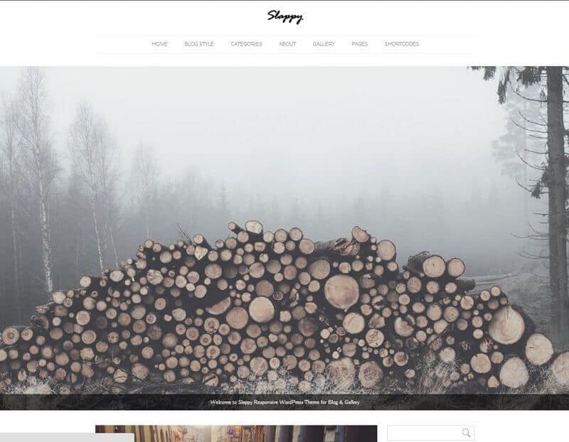  Slappy WordPress Theme By Mojo Marketplace
