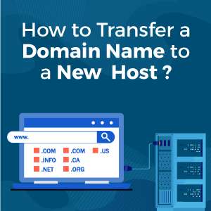 How to Transfer a Domain Name